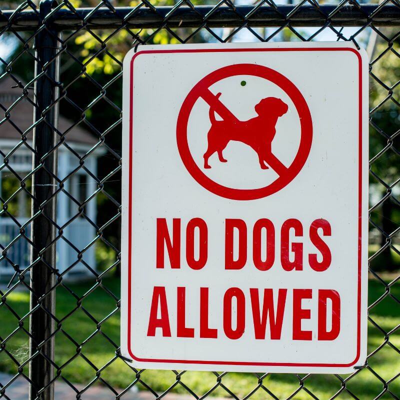 Mascota de Soporte Emocional